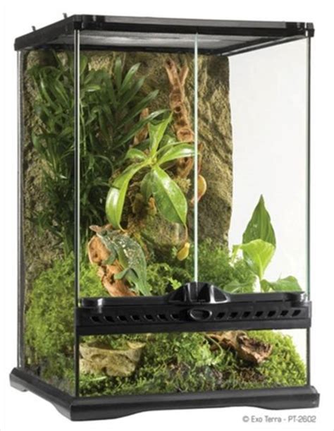 18 x 18 x 30 electric enclosure|18x18x24 terrarium for sale.